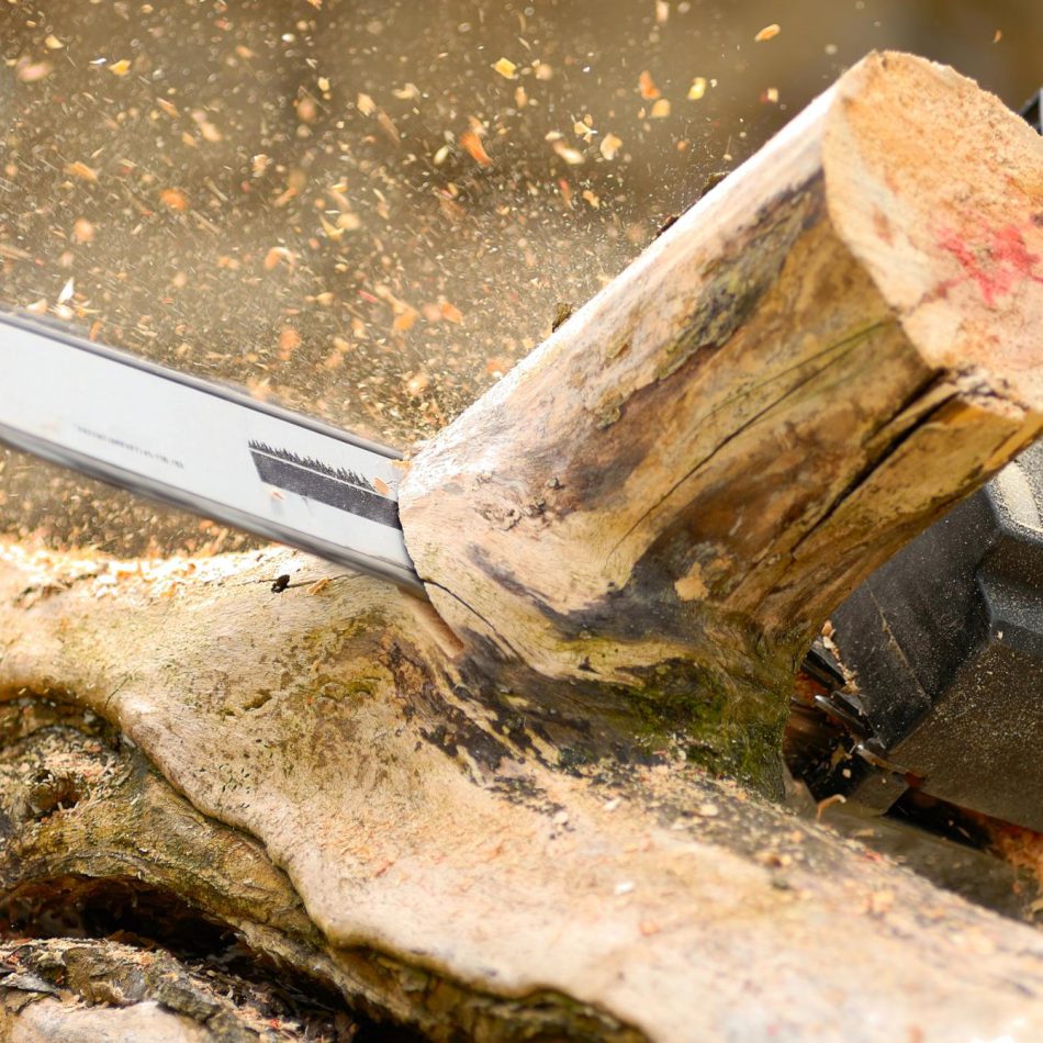 Morrinsville Tree Felling Contractors